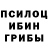 Псилоцибиновые грибы мухоморы Raihon Ashurova